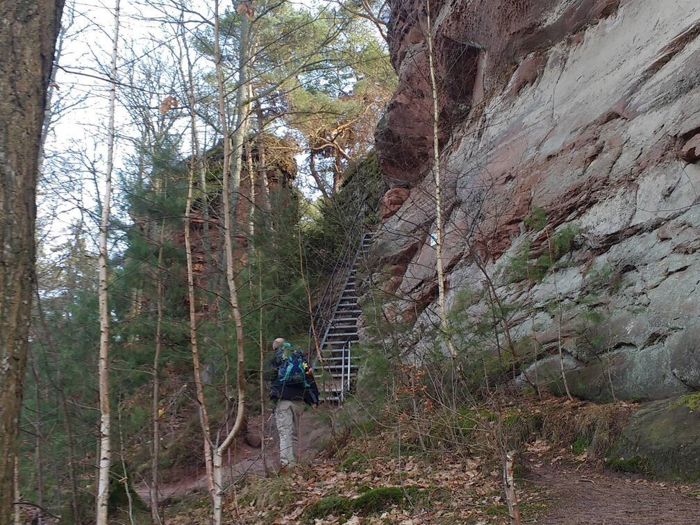 IMG 20190116 125428886